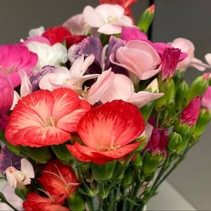 Meet your Posher, Naomi